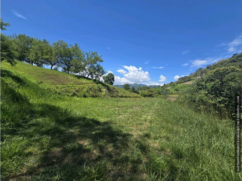 Venta de lote en Bolombolo Suroeste de Antioquia