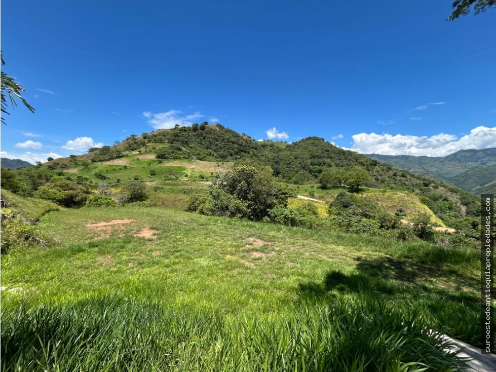 Venta de lote en Bolombolo Suroeste de Antioquia