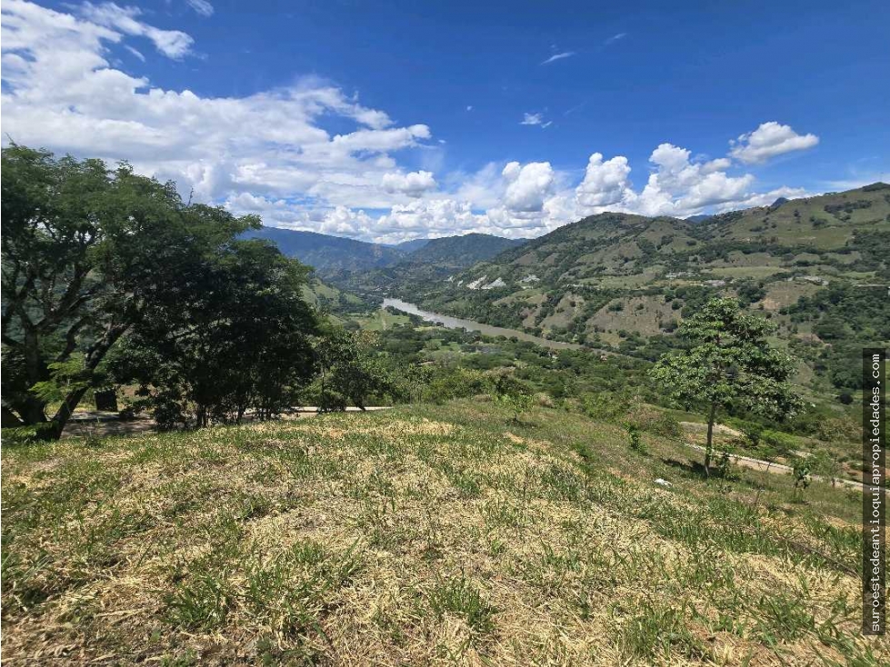 Venta de lote en Bolombolo Suroeste de Antioquia