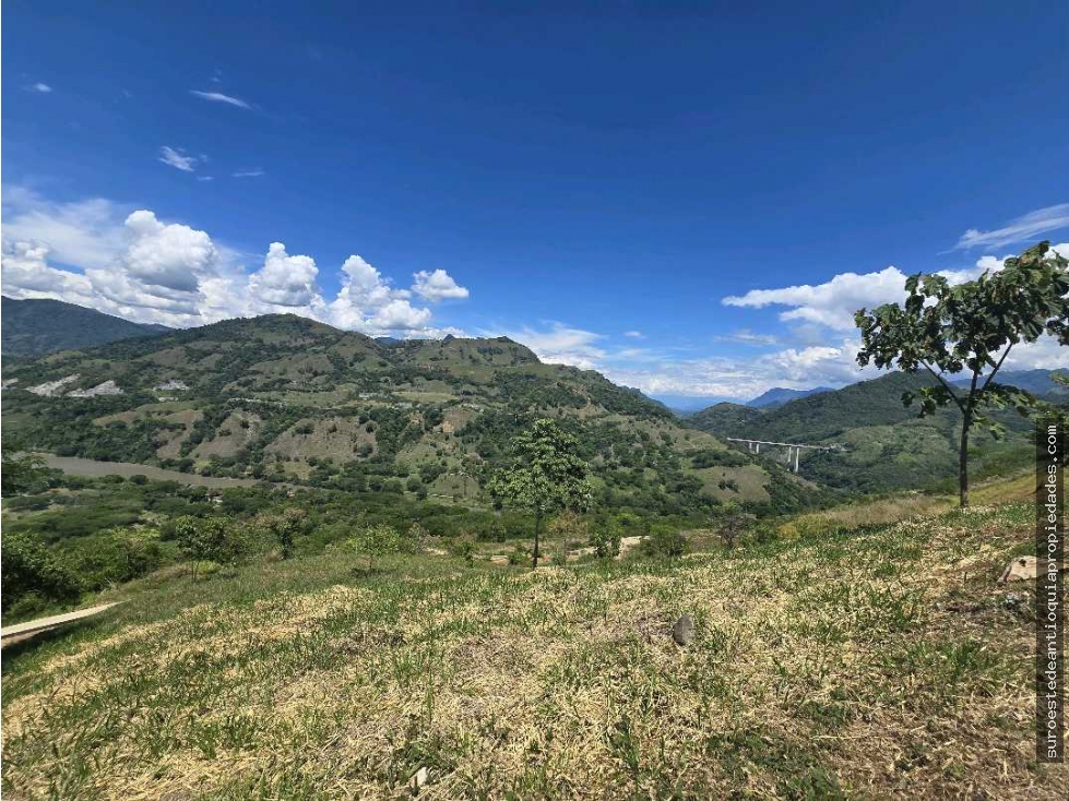 Venta de lote en Bolombolo Suroeste de Antioquia