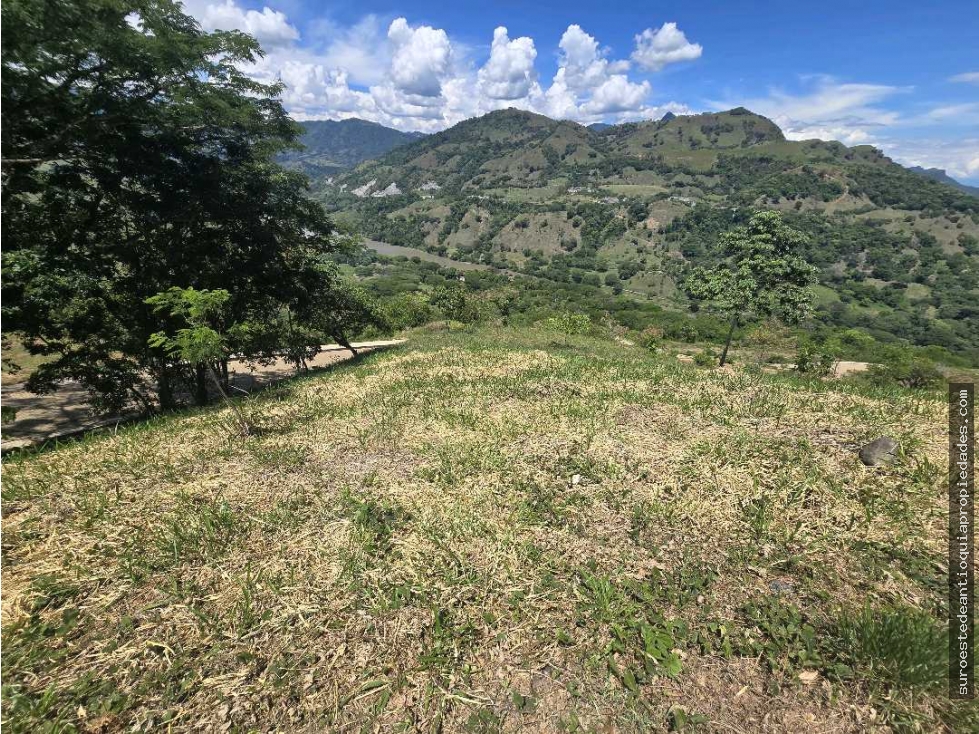 Venta de lote en Bolombolo Suroeste de Antioquia