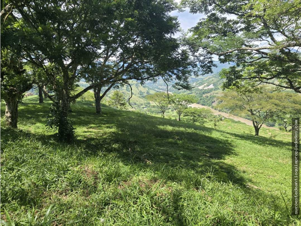 Venta de lote en Bolombolo Suroeste de Antioquia