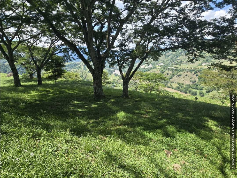 Venta de lote en Bolombolo Suroeste de Antioquia