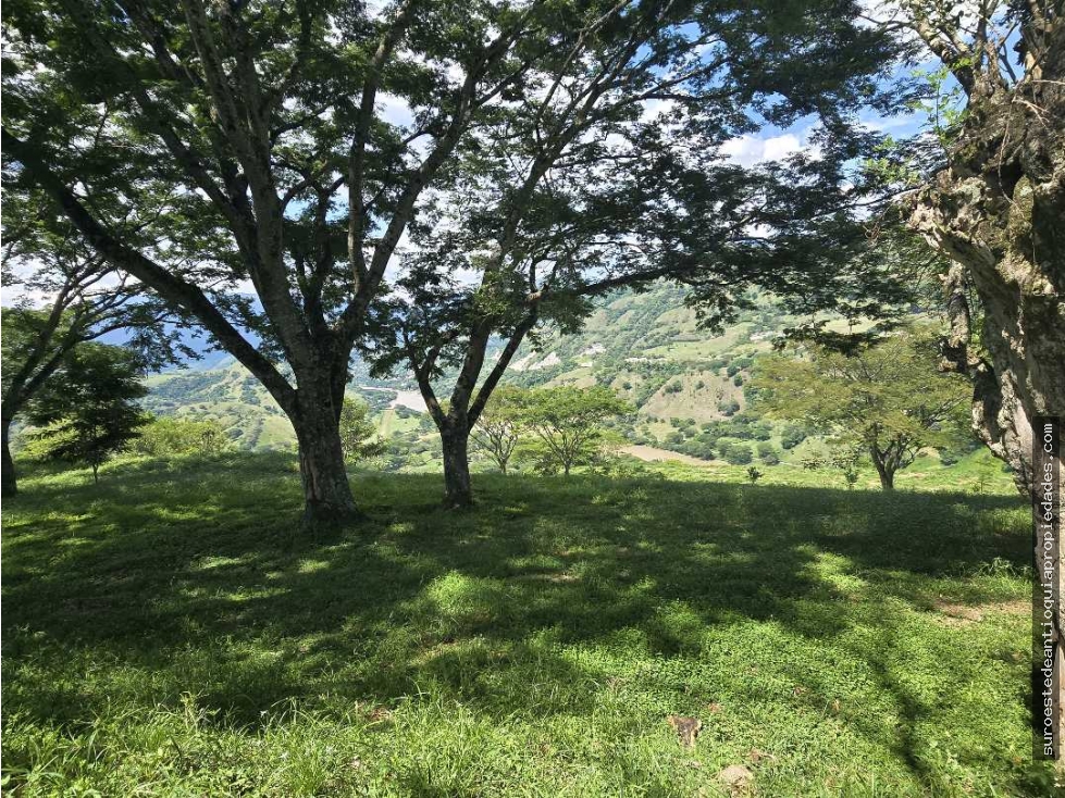 Venta de lote en Bolombolo Suroeste de Antioquia