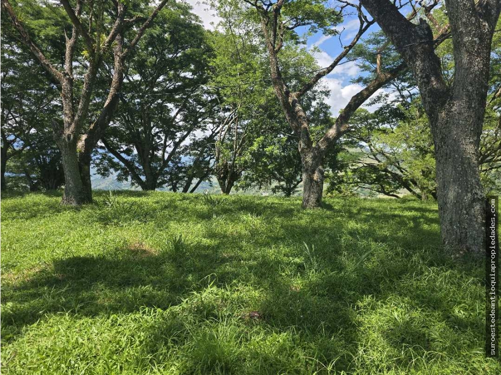 Venta de lote en Bolombolo Suroeste de Antioquia