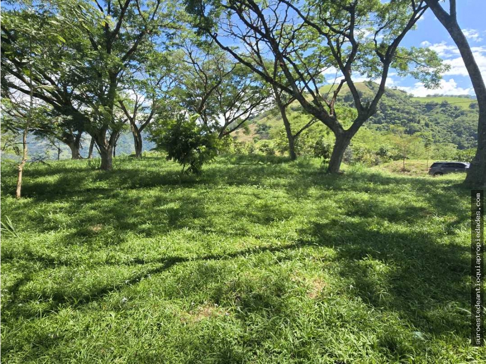 Venta de lote en Bolombolo Suroeste de Antioquia