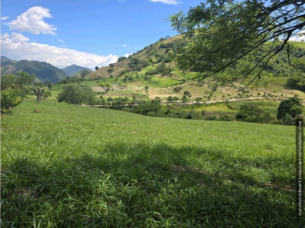 Venta de lote en Bolombolo Suroeste de Antioquia