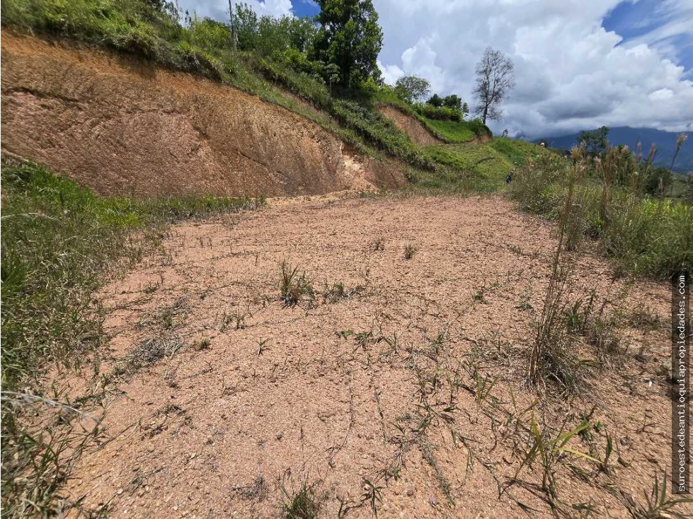 Venta de lote en Ciudad Bolívar Suroeste de Antioquia