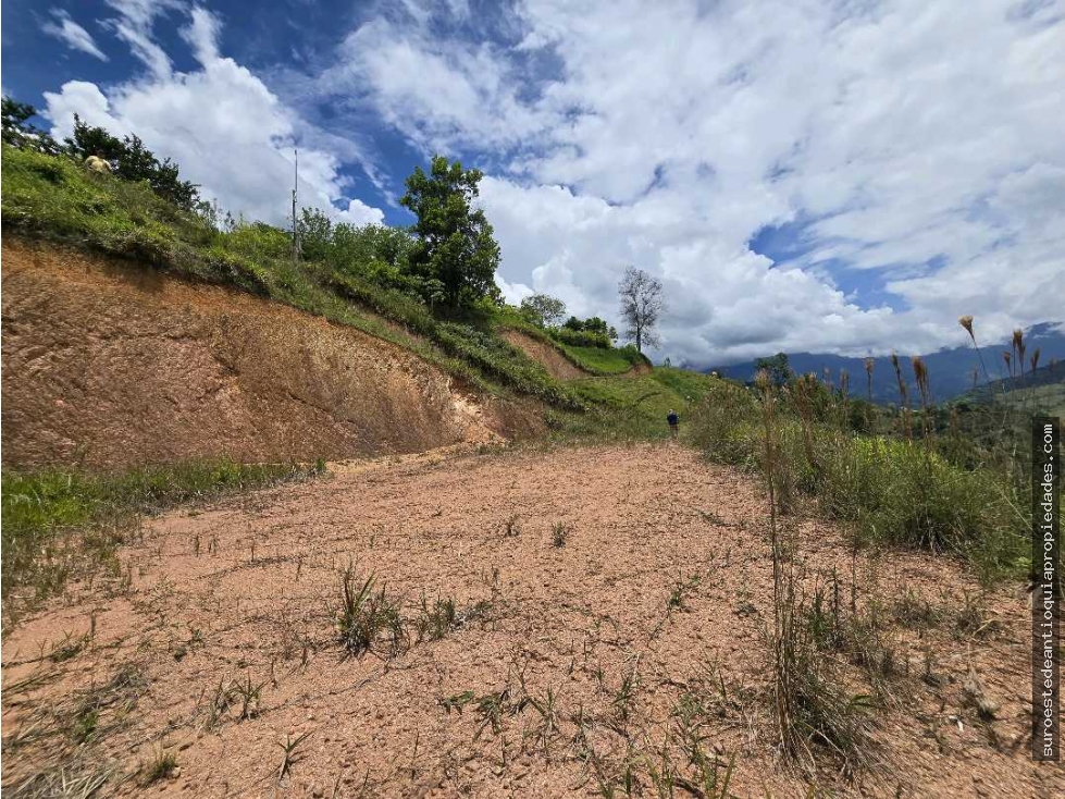 Venta de lote en Ciudad Bolívar Suroeste de Antioquia