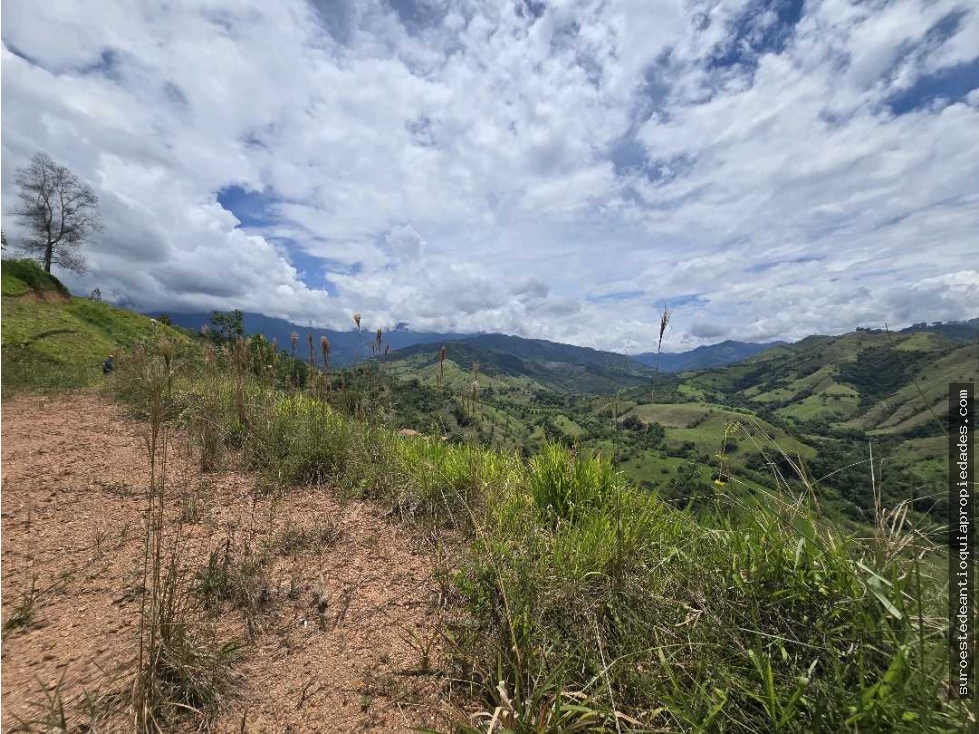 Venta de lote en Ciudad Bolívar Suroeste de Antioquia
