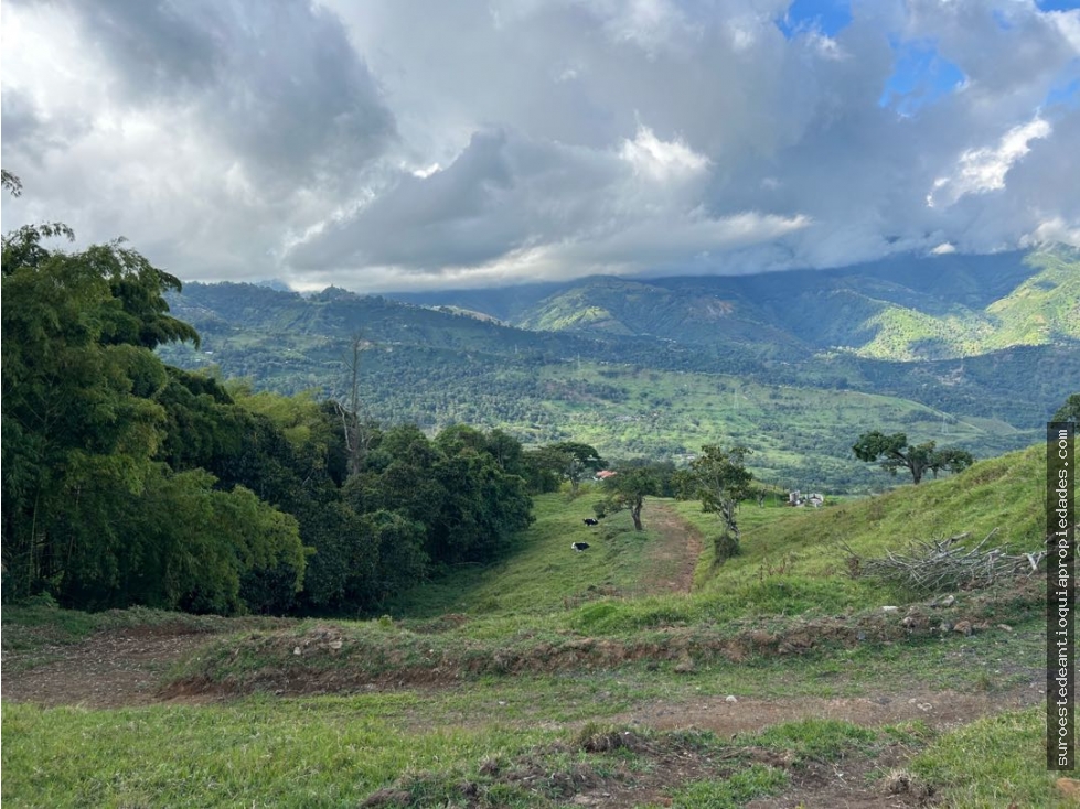 Venta de lote en Fredonia suroeste de Antioquia