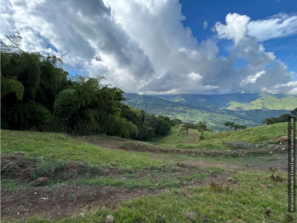Venta de lote en Fredonia suroeste de Antioquia