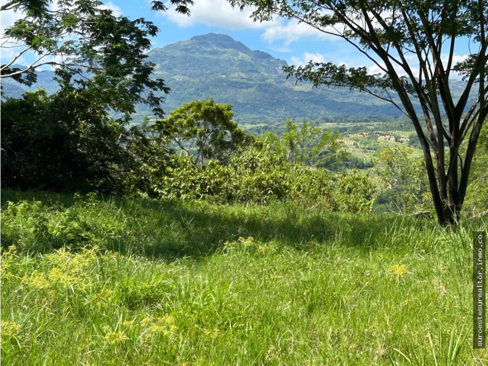 VENTA DE LOTE EN JERICO, SUROESTE ANTIOQUEÑO