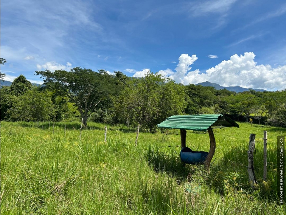 VENTA DE LOTE EN JERICO, SUROESTE ANTIOQUEÑO