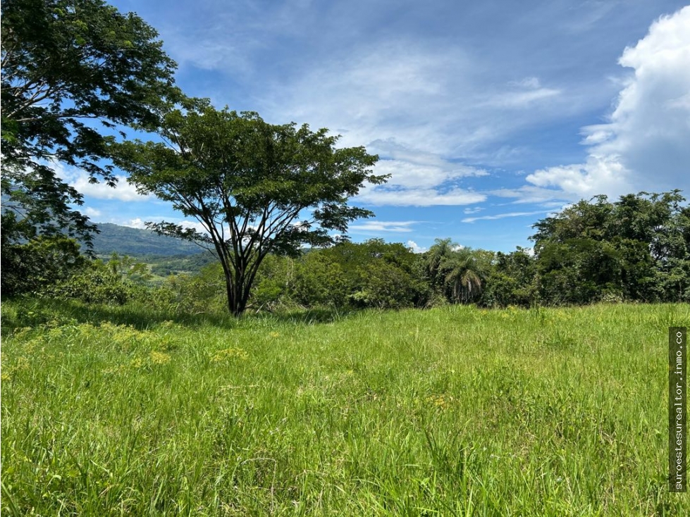 VENTA DE LOTE EN JERICO, SUROESTE ANTIOQUEÑO