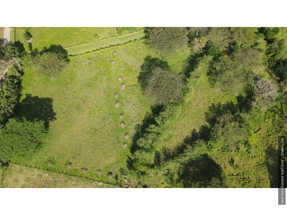 VENTA DE LOTE EN LA PINTADA SUROESTE ANTIOQUEÑO