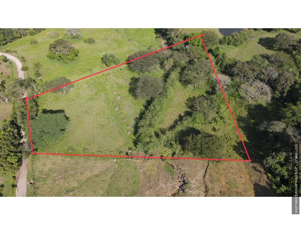 VENTA DE LOTE EN LA PINTADA SUROESTE ANTIOQUEÑO