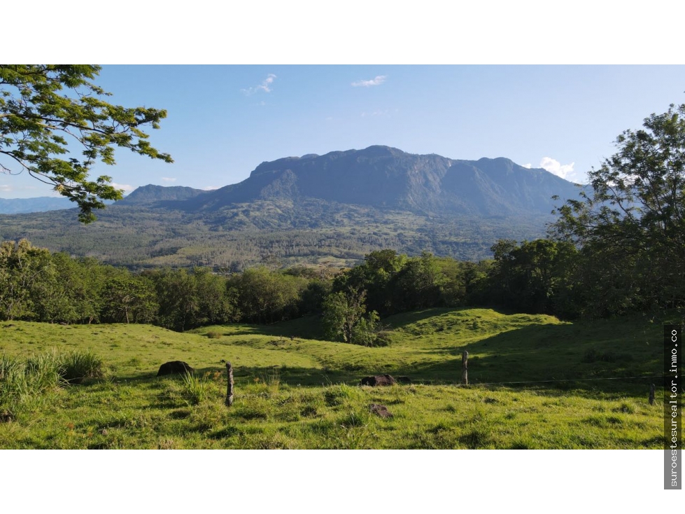 VENTA DE LOTE EN PUENTE IGLESIAS, SUROESTE DE ANTIOQUIA