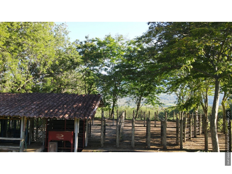 VENTA DE LOTE EN PUENTE IGLESIAS, SUROESTE DE ANTIOQUIA