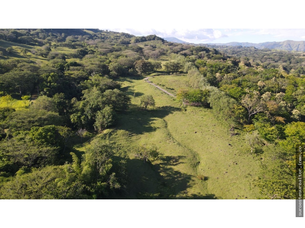 VENTA DE LOTE EN PUENTE IGLESIAS, SUROESTE DE ANTIOQUIA