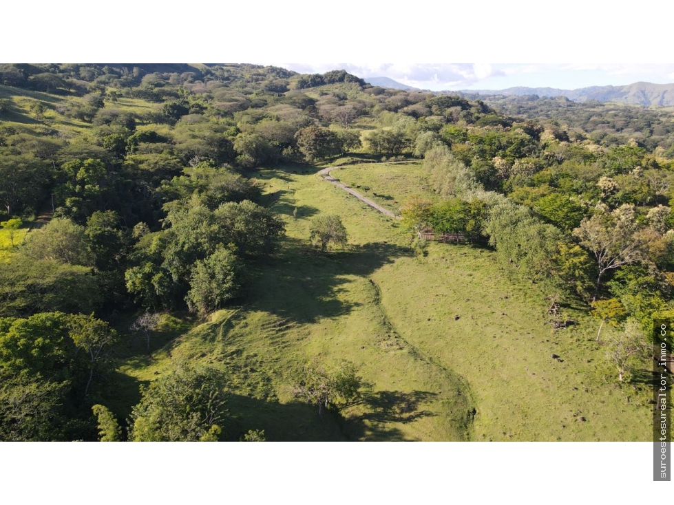 VENTA DE LOTE EN PUENTE IGLESIAS, SUROESTE DE ANTIOQUIA