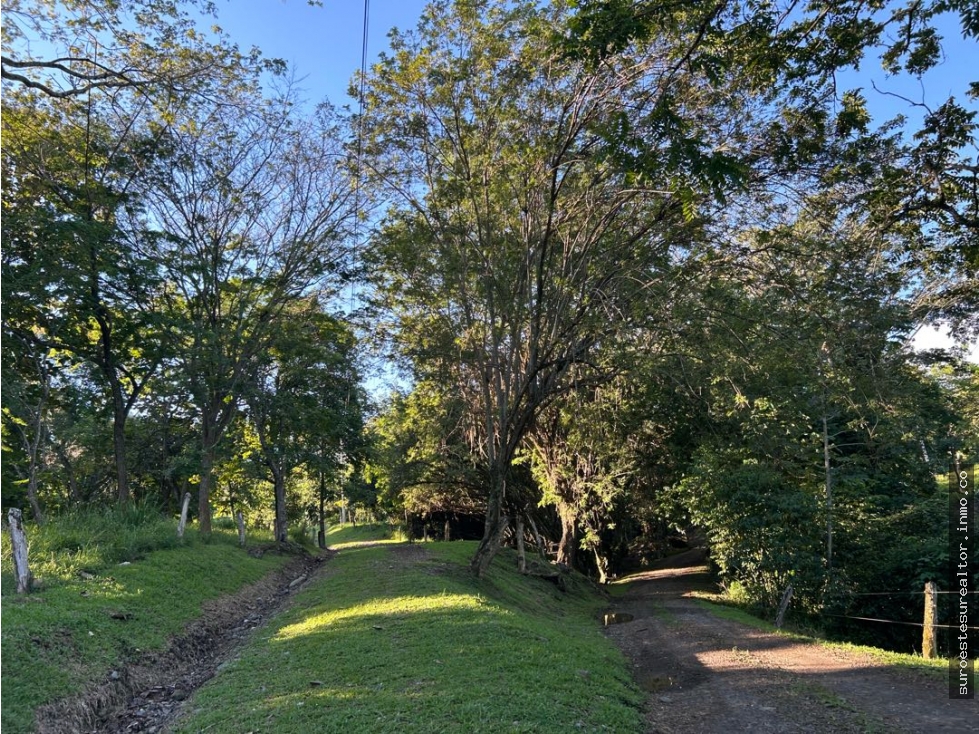VENTA DE LOTE EN PUENTE IGLESIAS, SUROESTE ANTIOQUEÑO