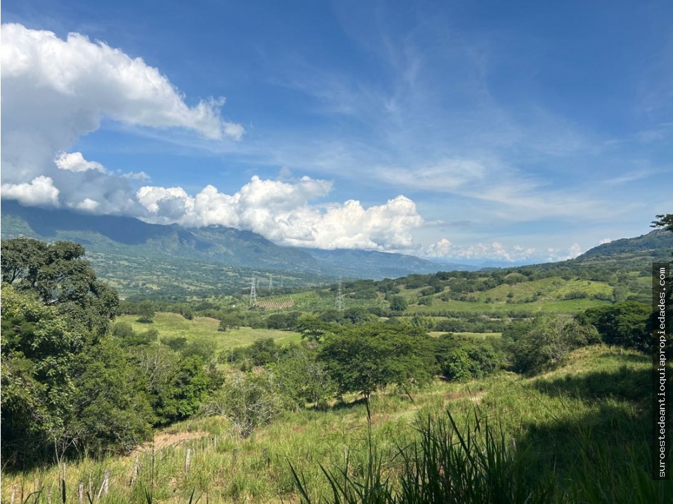 Venta de lote en puente iglesias suroeste de Antioquia