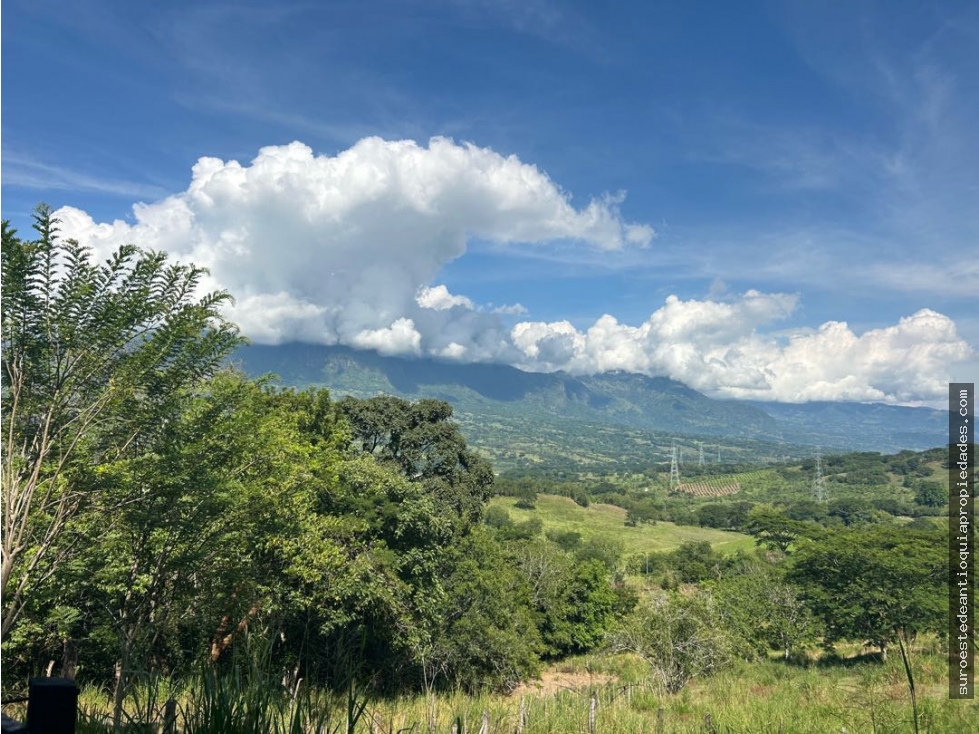 Venta de lote en puente iglesias suroeste de Antioquia