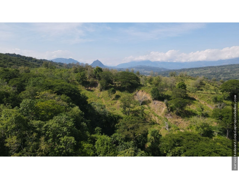 Venta de lote en puente iglesias suroeste de Antioquia