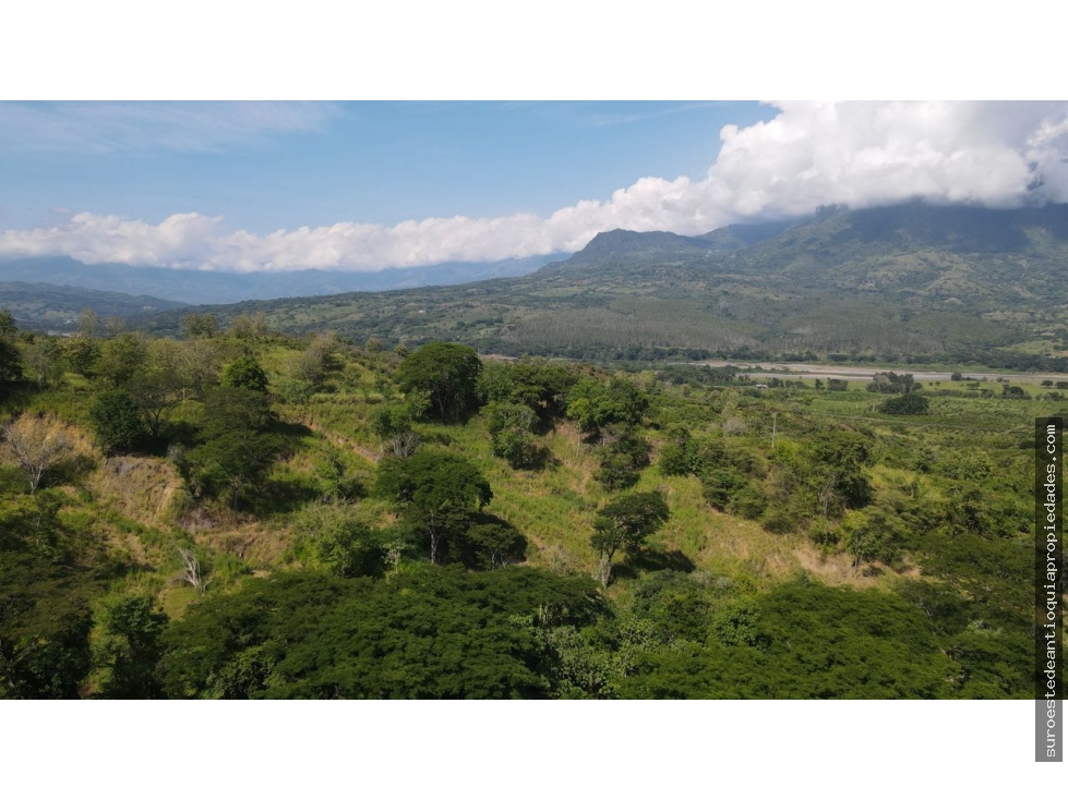 Venta de lote en puente iglesias suroeste de Antioquia