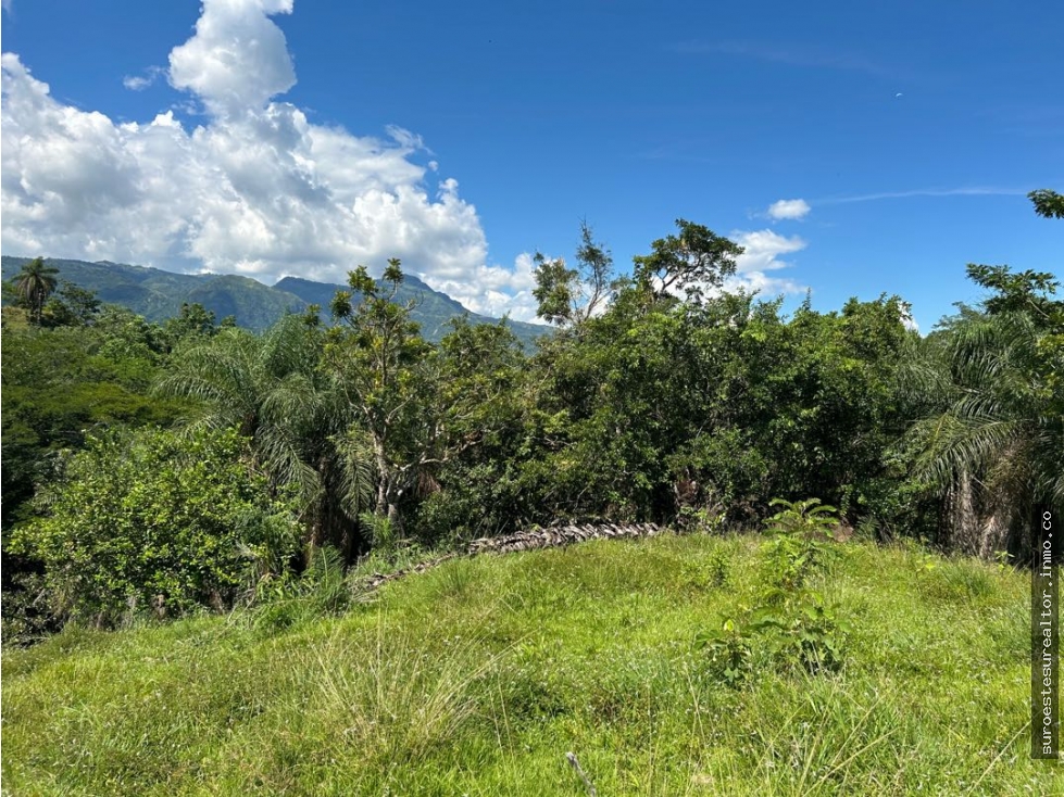 VENTA DE LOTE EN TARSO SUROESTE ANTIOQUEÑO