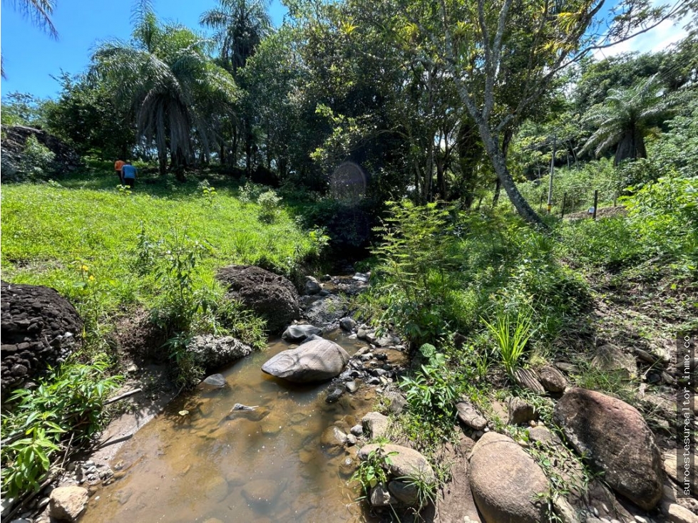 VENTA DE LOTE EN TARSO SUROESTE ANTIOQUEÑO