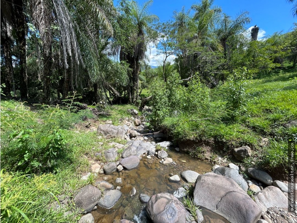 VENTA DE LOTE EN TARSO SUROESTE ANTIOQUEÑO