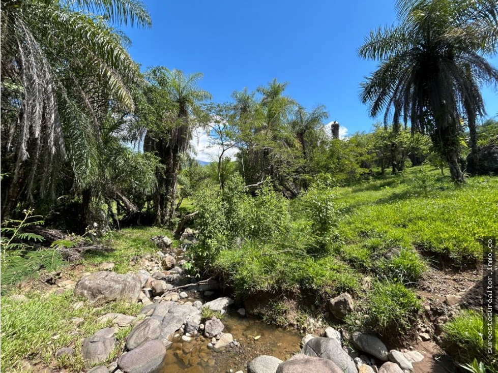 VENTA DE LOTE EN TARSO SUROESTE ANTIOQUEÑO