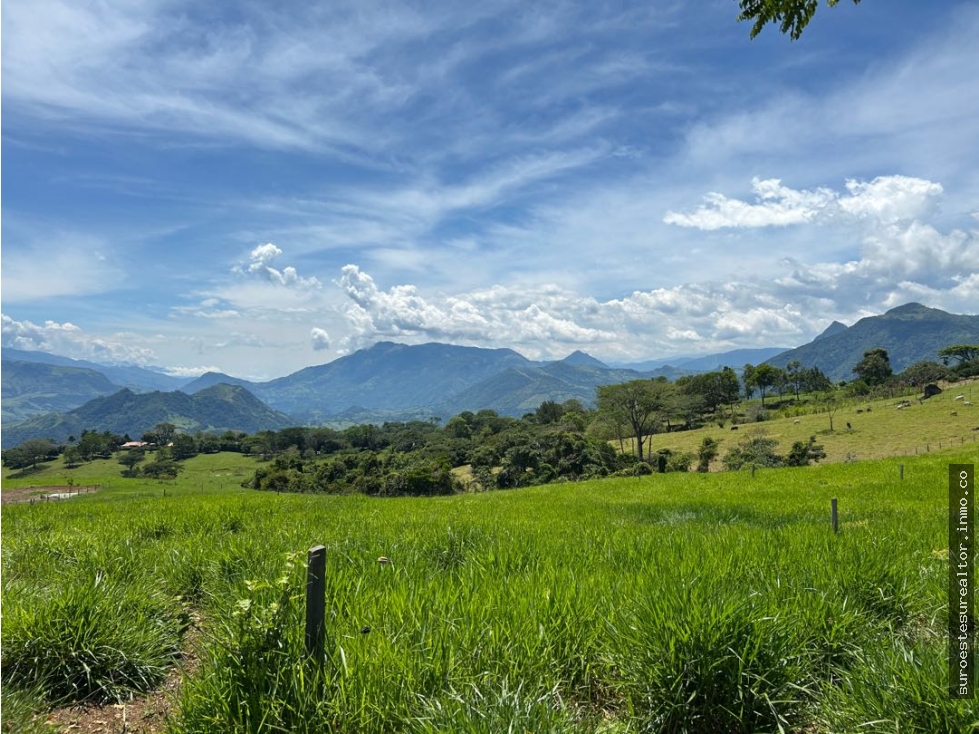VENTA DE LOTE EN TARSO, SUROESTE ANTIOQUEÑO