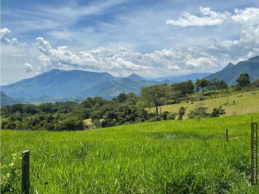 VENTA DE LOTE EN TARSO, SUROESTE ANTIOQUEÑO