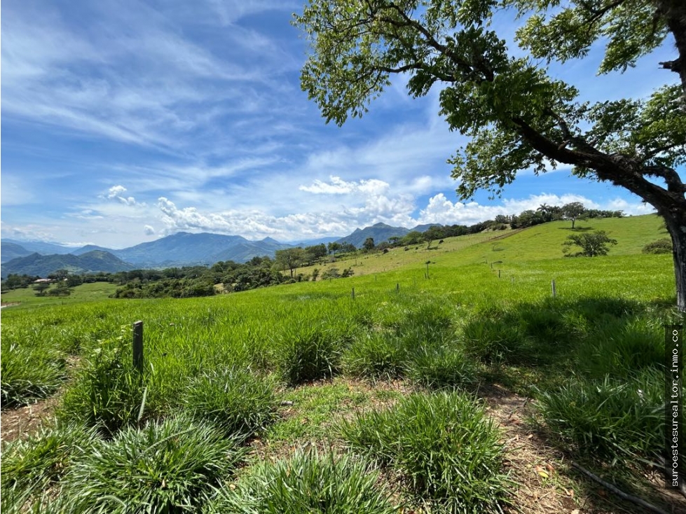 VENTA DE LOTE EN TARSO, SUROESTE ANTIOQUEÑO
