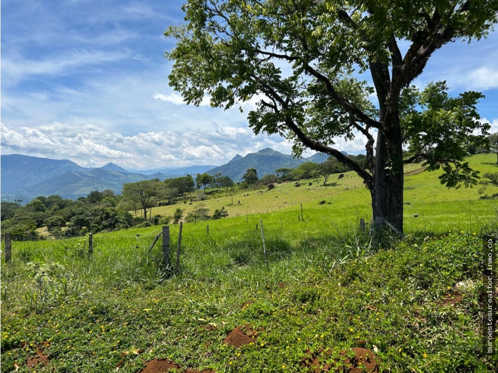 VENTA DE LOTE EN TARSO, SUROESTE ANTIOQUEÑO