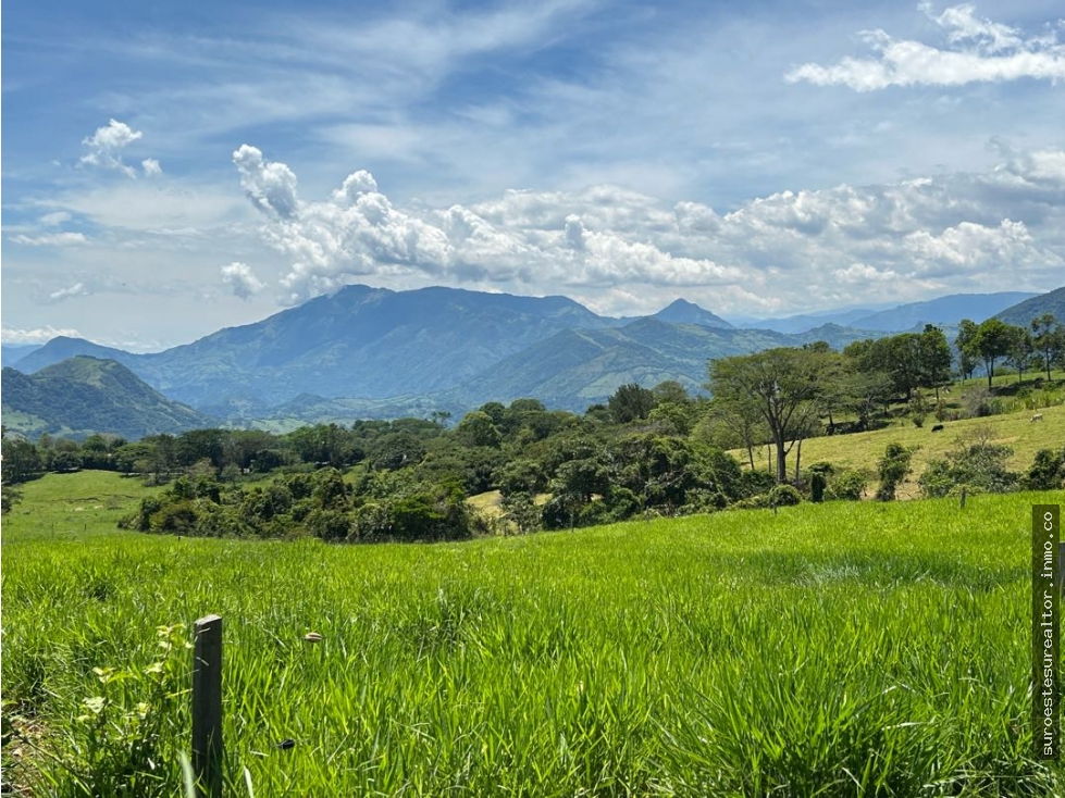 VENTA DE LOTE EN TARSO, SUROESTE ANTIOQUEÑO