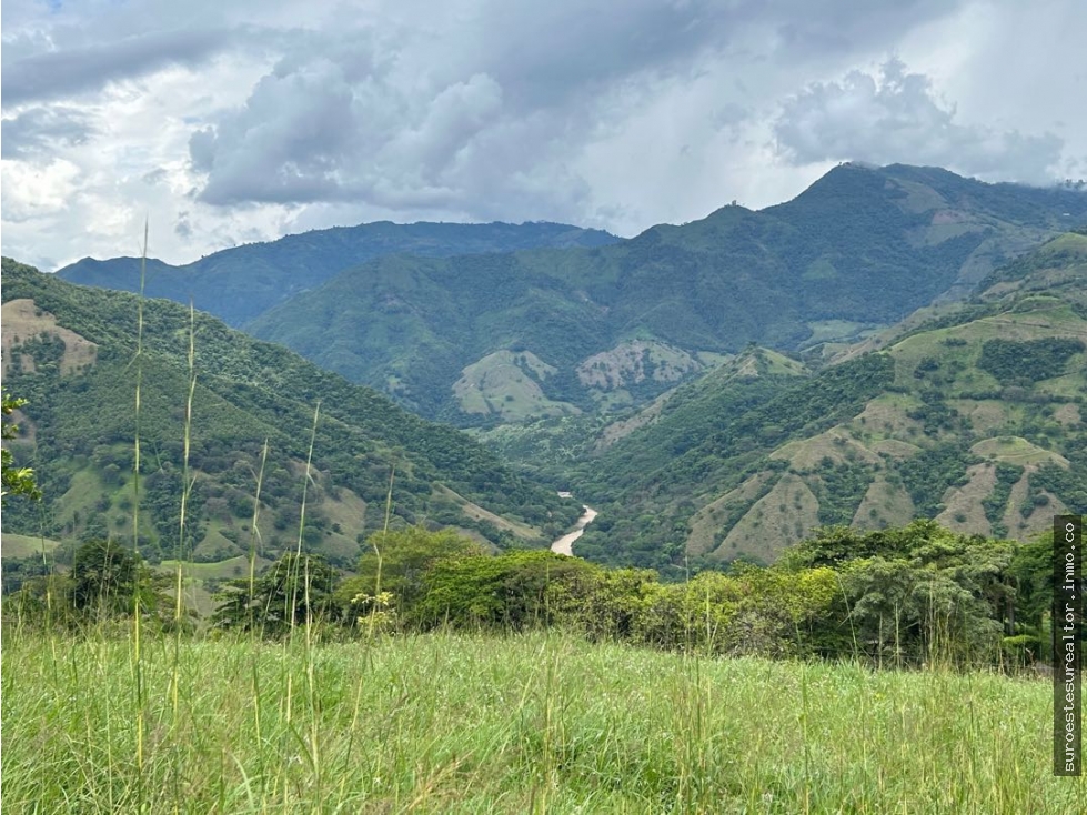 VENTA DE LOTE EN TARSO SUROESTE DE ANTIOQUIA