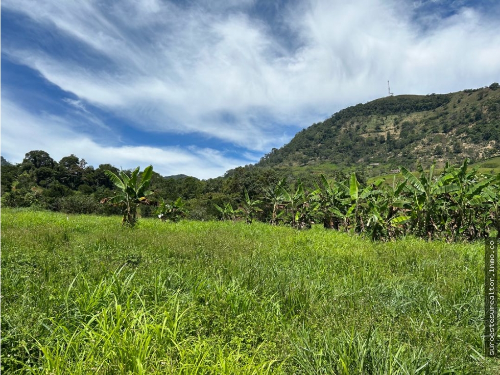 Venta de lote en tarso suroeste de Antioquia