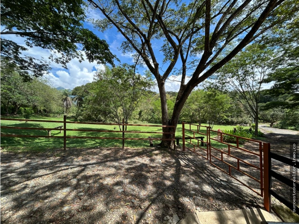 VENTA DE LOTE EN TARSO SUROESTE DE ANTIOQUIA