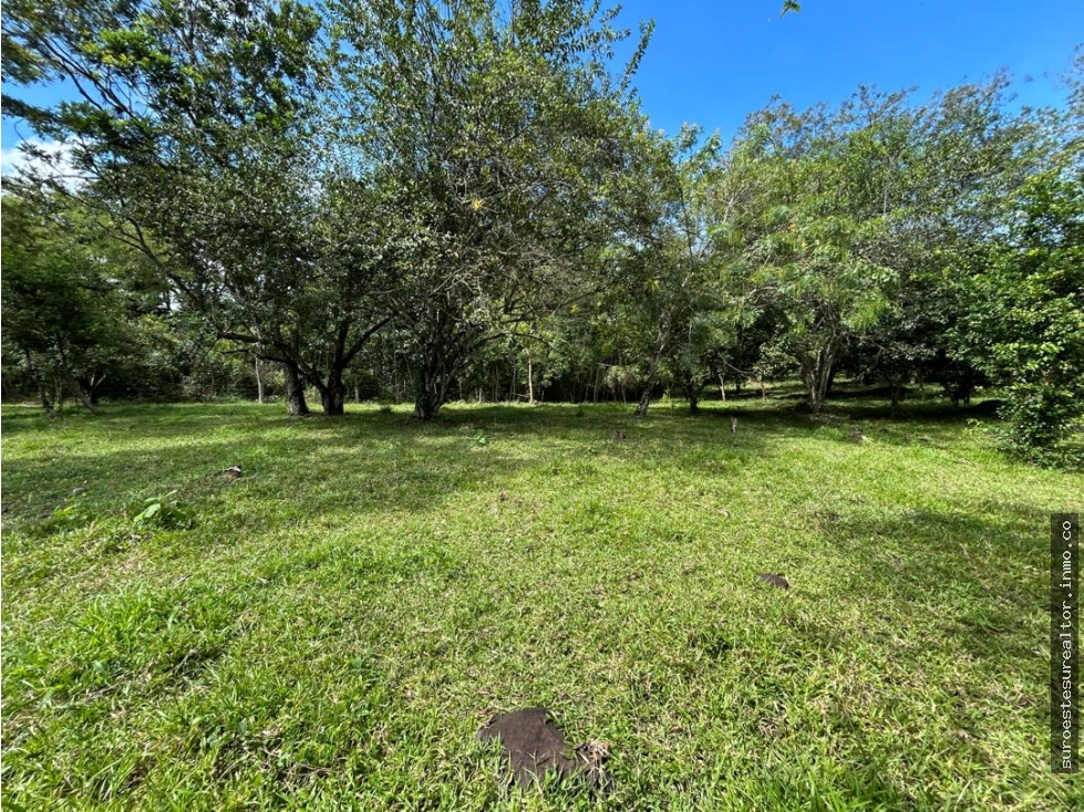 VENTA DE LOTE EN TARSO SUROESTE DE ANTIOQUIA