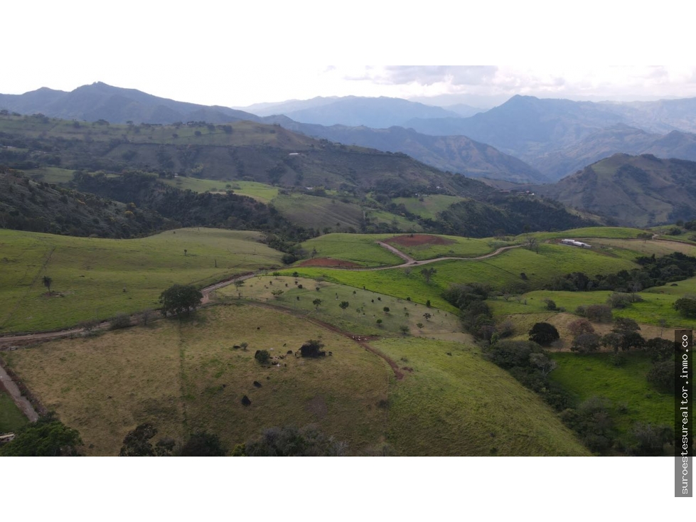 VENTA DE LOTE EN TARSO SUROESTE DE ANTIOQUIA
