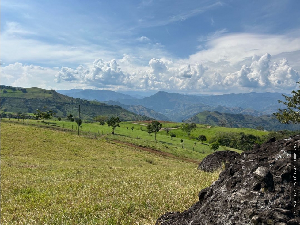 VENTA DE LOTE EN TARSO SUROESTE DE ANTIOQUIA