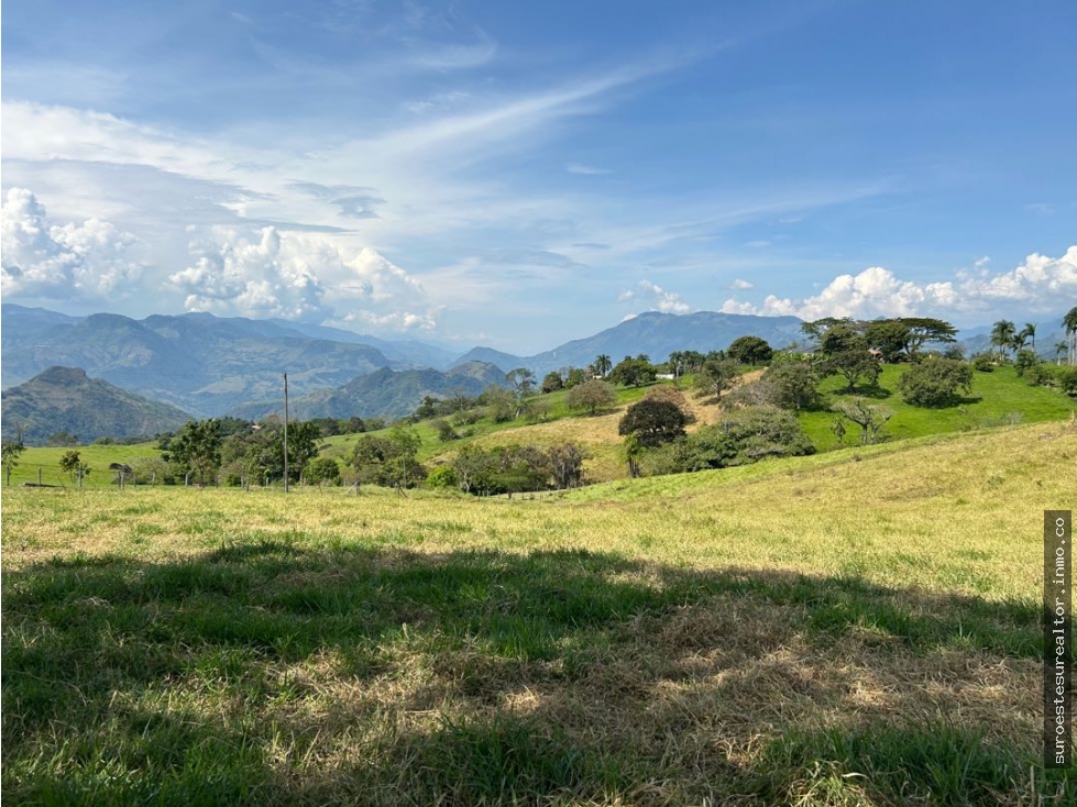VENTA DE LOTE EN TARSO SUROESTE DE ANTIOQUIA