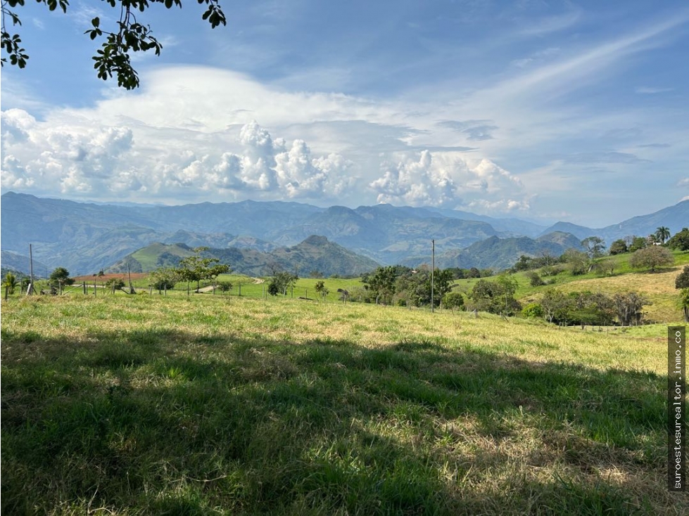 VENTA DE LOTE EN TARSO SUROESTE DE ANTIOQUIA