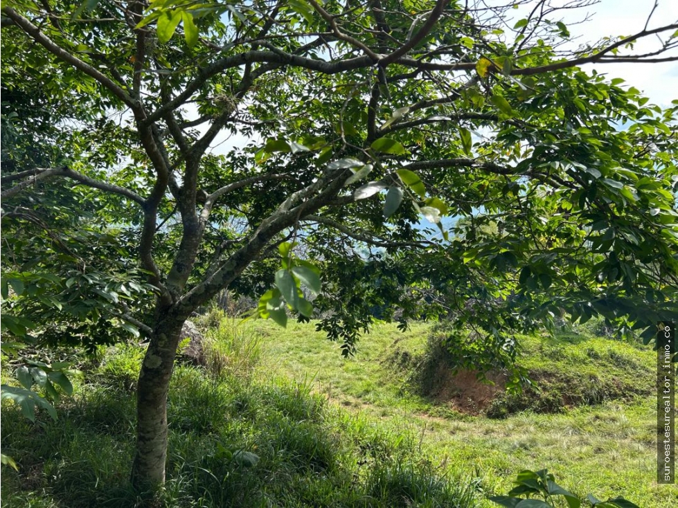 VENTA DE LOTE EN VENECIA SUROESTE ANTIOQUEÑO