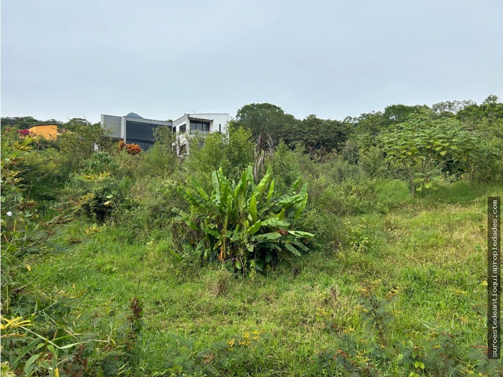 Venta de lote en Venecia suroeste de Antioquia