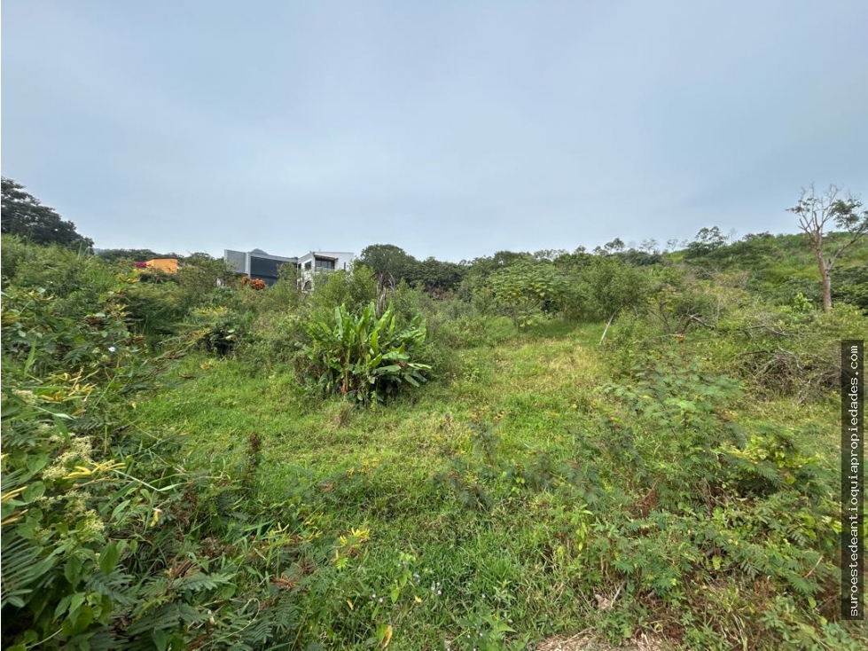 Venta de lote en Venecia suroeste de Antioquia